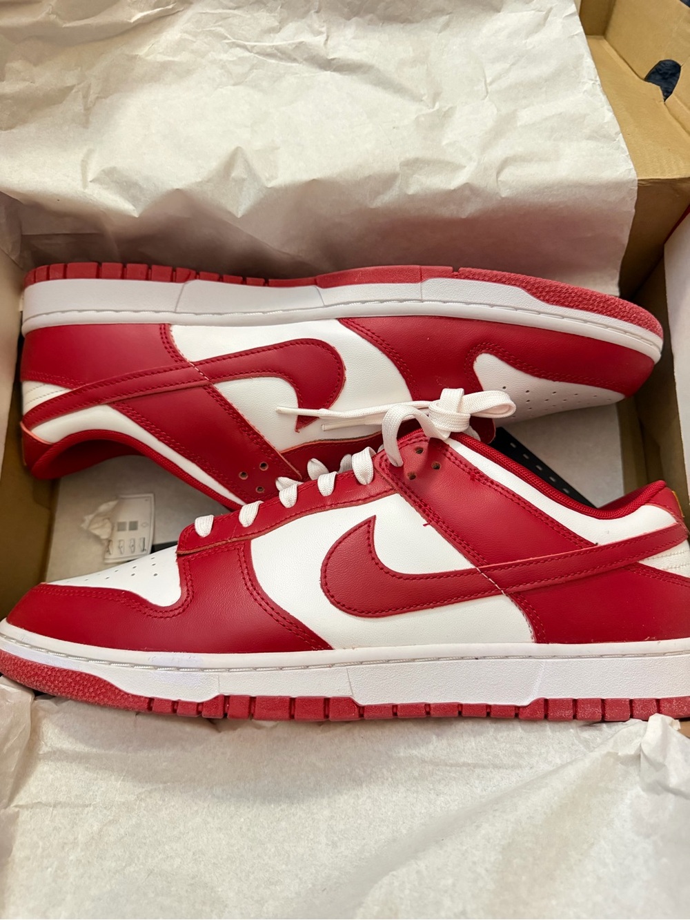 Nike USC Dunks